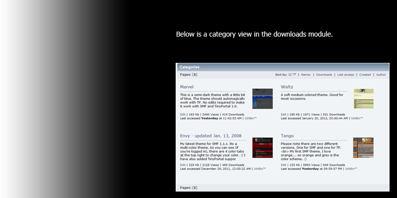 A Built In Downloads System